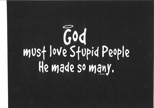 TRANSFER GOD MUST LOVE STUPID PEOPLE