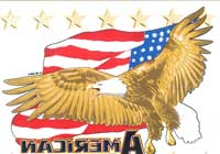 TRANSFER EAGLE W FLAG AMERICAN HERITAGE