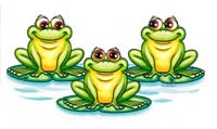 TRANSFER FROG