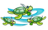 TRANSFER TURTLES