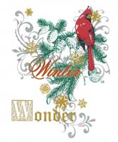 TRANSFER WINTER WONDER
