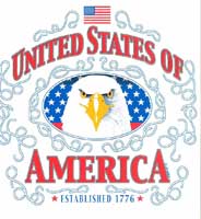 EAGLE IN OVAL WITH FLAG