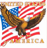 TRANSFER EAGLE WITH FLAG BACKDROP