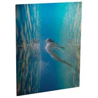 Pann. All. CL Stamp. 1 Lato Trasp. Sm-Luc. 200x300