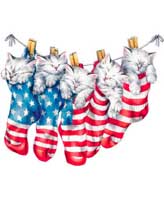 TRANSFER KITTIES R/W/B STOCKINGS Y