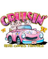 TRANSFER CRUISIN:HERE COMES TROUBL