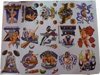 TRANSFER MI ODM PIN UPS