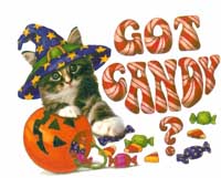 TRANSFER GOT CANDY? YOUTH