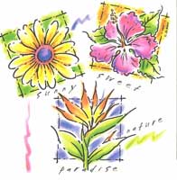 TRANSFER PASTEL CHALK FLORAL