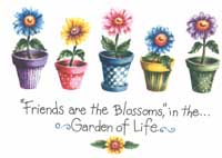 TRANSFER GARDEN OF LIFE