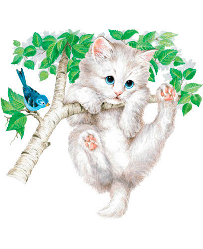 TRANSFER KITTEN ON A LIMB