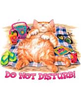 TRANSFER DO NOT DISTURB