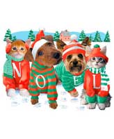 TRANSFER NOEL (ANIMALS)