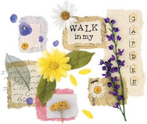 TRANSFER WALK IN MY GARDEN