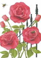 TRANSFER RED ROSES AND BEES