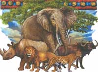 TRANSFER THE BIG FIVE