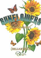 TRANSFER SUNFLOWERS BUTTERFLIES