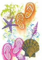 TRANSFER FLIP FLOPS SHELLS