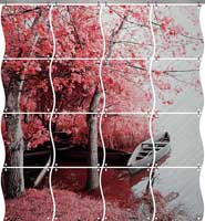 Pann. All. CL Per Murale Trasp. Lucido 297,18x1,14