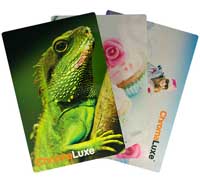 Ins.All.CL Ipad 2/3/4 cod.4221/4222 Bi.Lu.