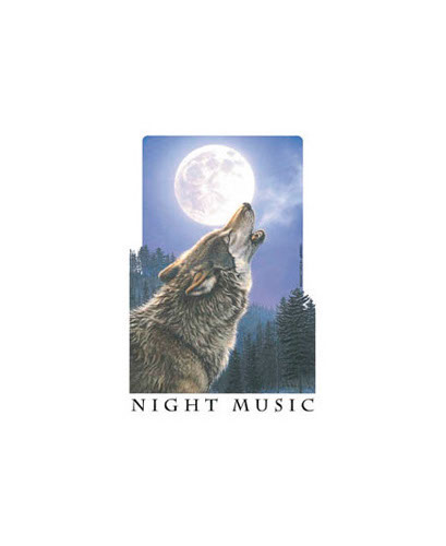 TRANSFER NIGHT MUSIC
