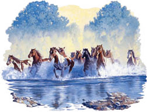 TRANSFER FREE SPIRITS