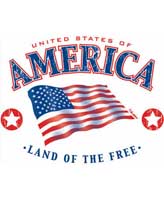 TRANSFER USA FLAG-LAND OF THE FREE