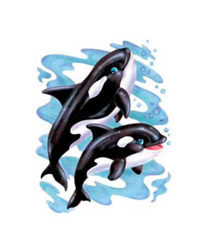 TRANSFER HAPPY WHALES