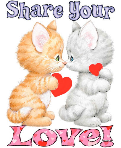 TRANSFER SHARE YOUR LOVE