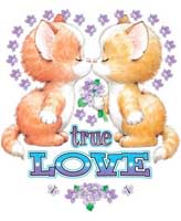 TRANSFER TRUE LOVE