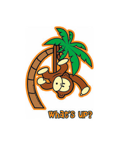 TRANSFER WHATS UP MONKEY