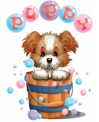 TRANSFER PUPPY IN BUBBLES