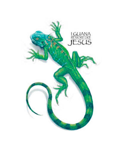 TRANSFER IGUANA