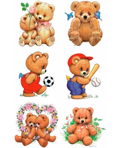 TRANSFER MOREHEAD CUB COLLECTION