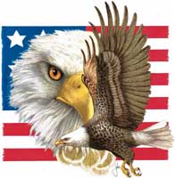 TRANSFER FREEDOM