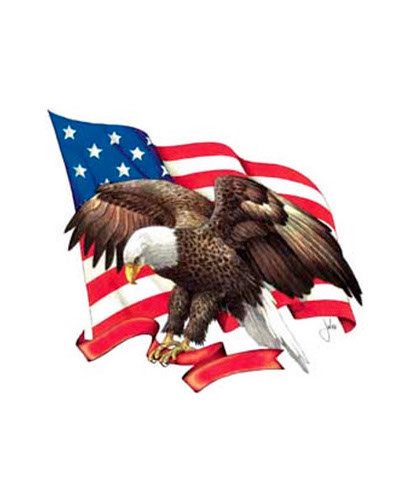 TRANSFER MADE IN AMERICA