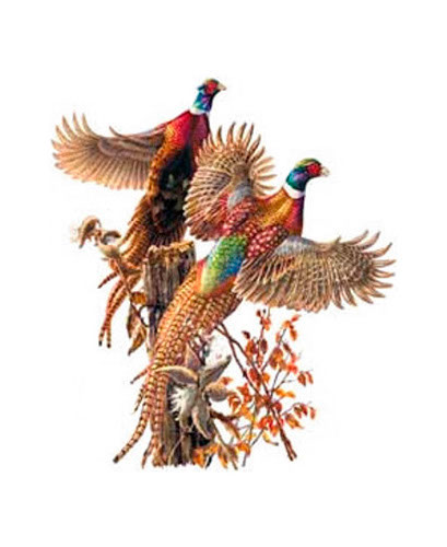 TRANSFER LIFT OFF (PHEASANT)