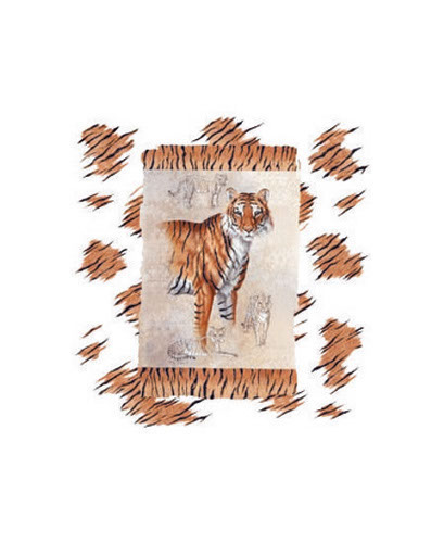 TRANSFER TIGER
