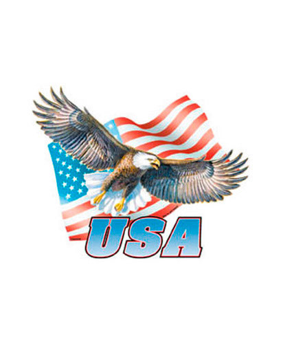 TRANSFER EAGLE//FLAG USA