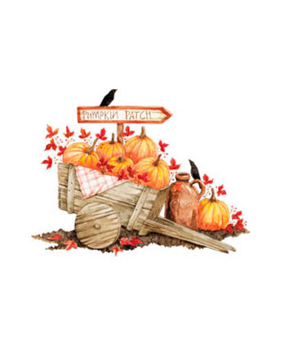 TRANSFER PUMPKIN PATCH
