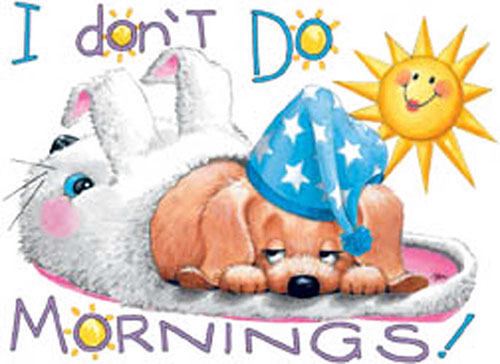 TRANSFER I DONT DO MORNINGS