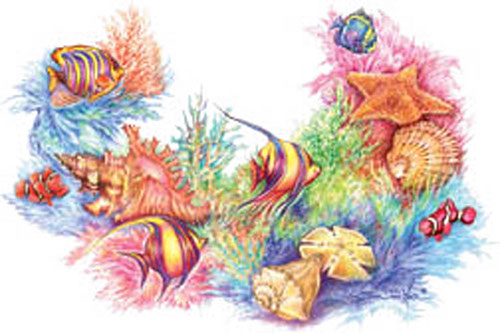 TRANSFER SHELLS CORAL YOKE