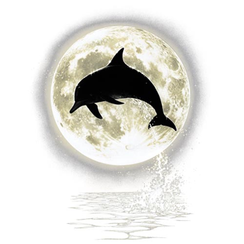 TRANSFER DOLPHIN MOON