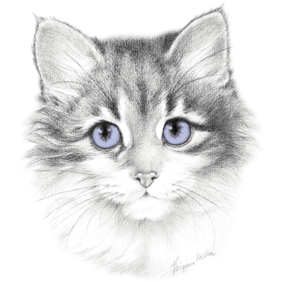 TRANSFER LAVENDER CAT