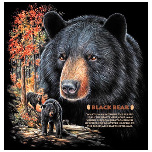 TRANSFER BLACK BEAR