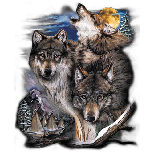 TRANSFER WOLVES & VILLAGE