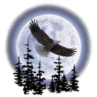 TRANSFER EAGLE MOON