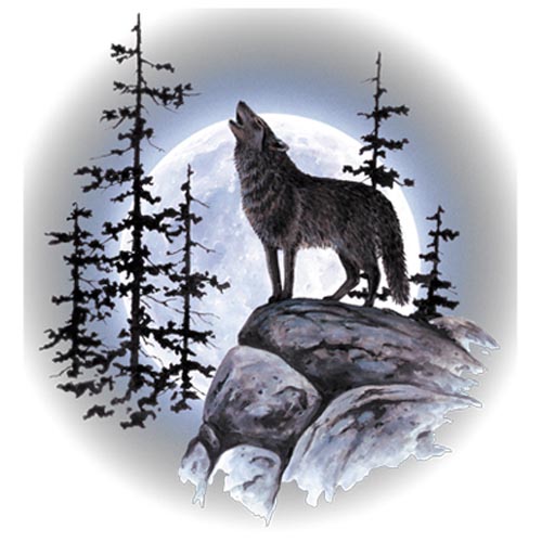 TRANSFER WOLF MOON