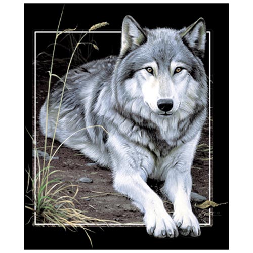TRANSFER WOLF PORTRAIT