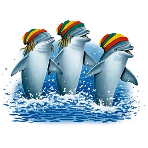 TRANSFER REGGAE DOLPHINS